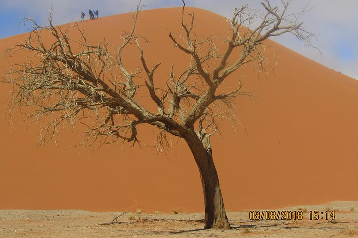 3 day Sossusvlei Safari (Accommodated) Transfer - Photo 1 of 2