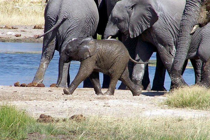 Etosha Natiinal Park Water holes