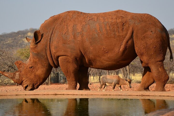 4 Day Etosha and Swakopmund Lodging - Photo 1 of 9