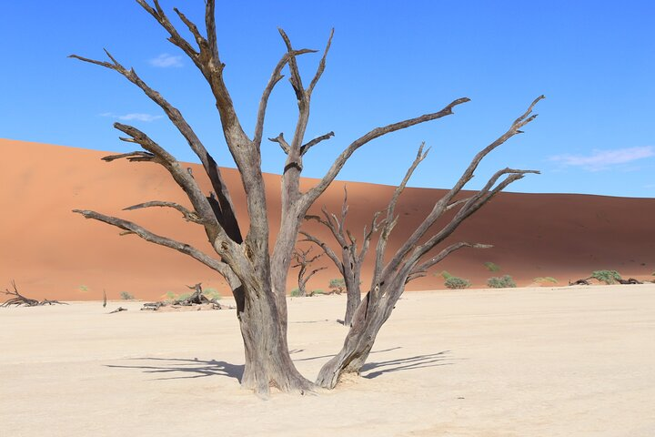 5-Day Tour to Namibia Desert Sossusvlei and Coast - Photo 1 of 11