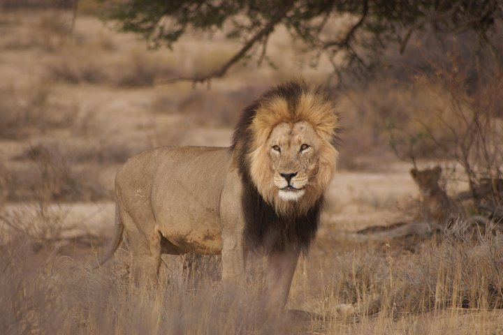 6 Day Private Guided Accommodated Namibian Loop  - Photo 1 of 8