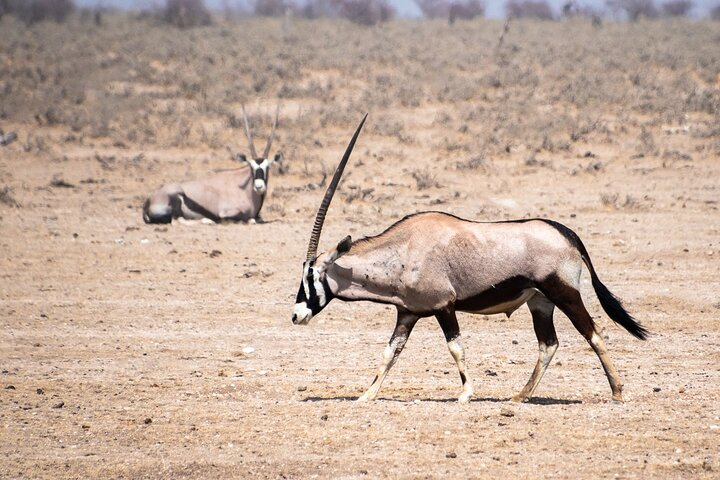 6- Day Wildlife & Landscapes - Photo 1 of 6