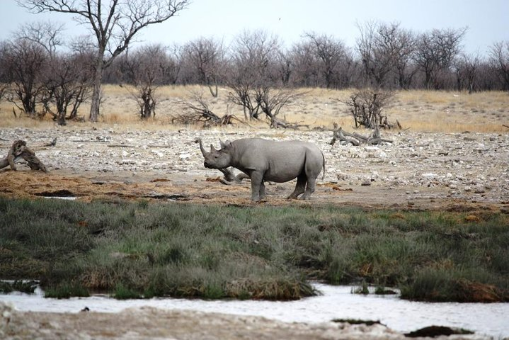 6 DAYS ETOSHA, SWAKOPMUND & SOSSUSVLEI SAFARI- Namibia(Camping) - Photo 1 of 4