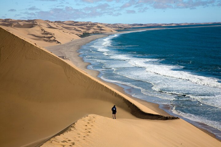 Half-Day Sandwich Harbour Tour from Walvis Bay with Lunch - Photo 1 of 23