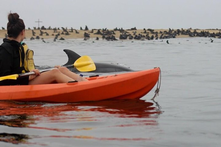 Kayaking and Sandwich Habour Guided Day Tour from Walvis Bay - Photo 1 of 12