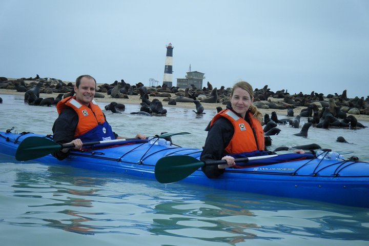 Pelican Point Kayaking Half-Day Tour 