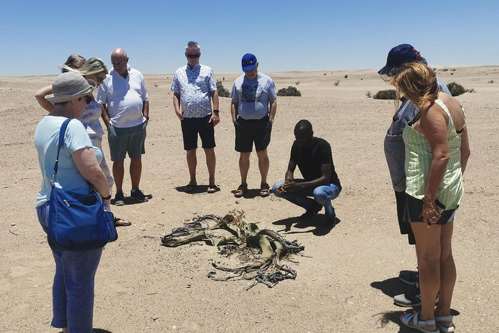 Shore Excursion in Namibia Walvisbay