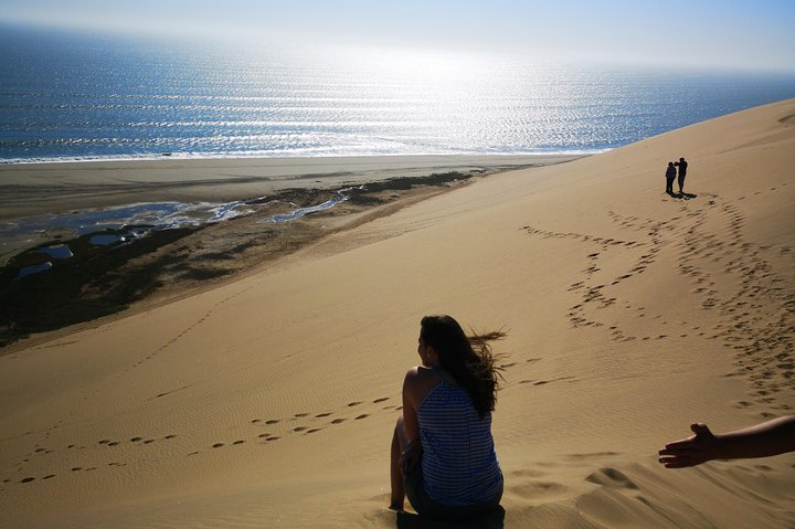 Sandwhich Harbour Dune 4x4 Full Day - Photo 1 of 19