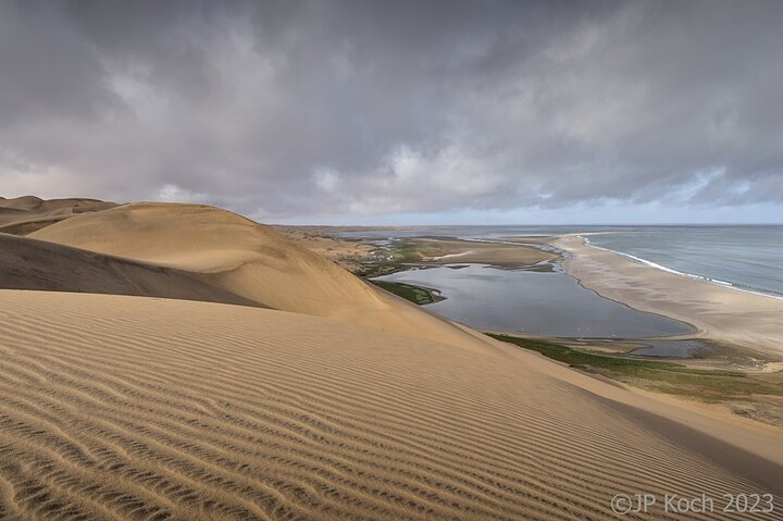 Sandwich Harbour Half-Day 4x4 Tour (5 hours) from Walvis Bay - Photo 1 of 25