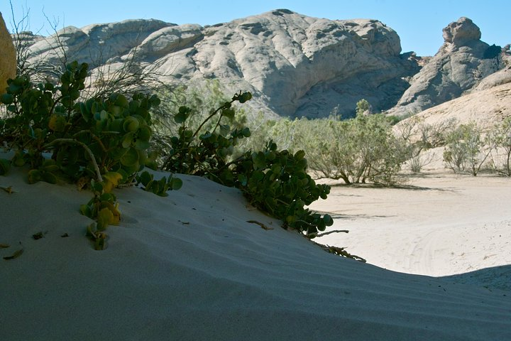 Swakop River Valley & Spitzkoppe Full Day 4x4 tour from Walvis Bay - Photo 1 of 13