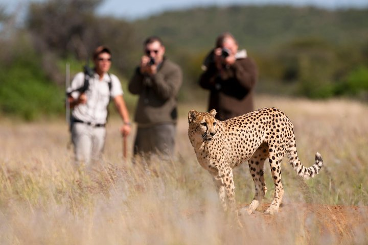 Taste of Namibia Safari - 8 Days - Photo 1 of 9