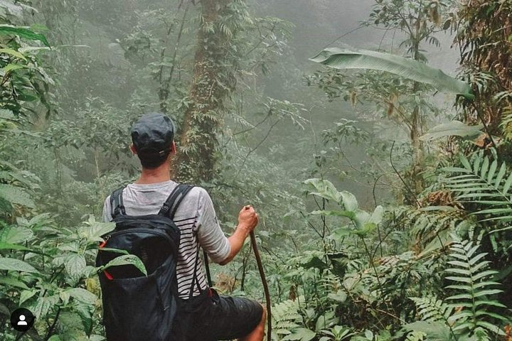 Climbing the volcano woods in ometepe - Photo 1 of 3