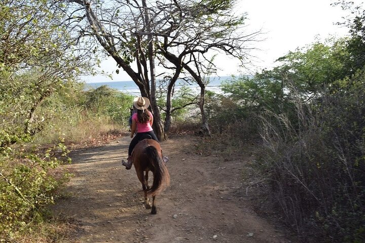 Horseback Riding Tour in Playa Maderas, San Juan del Sur also in Costa Rica - Photo 1 of 4