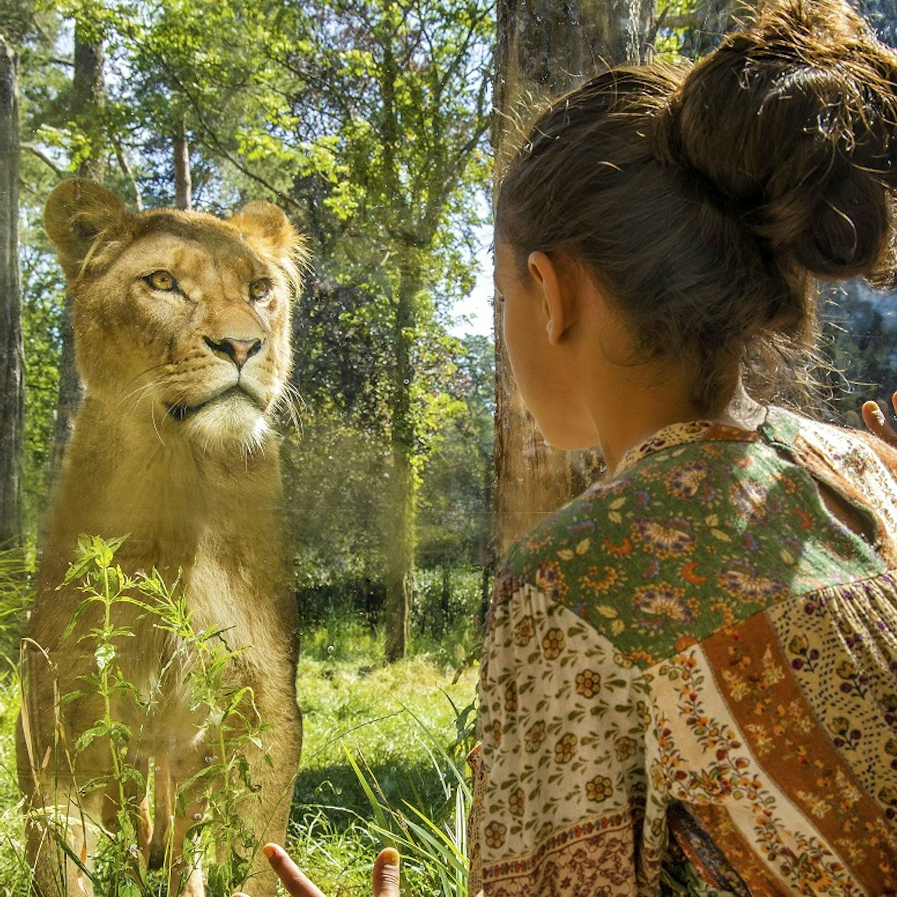 Amersfoort Zoo - Photo 1 of 12