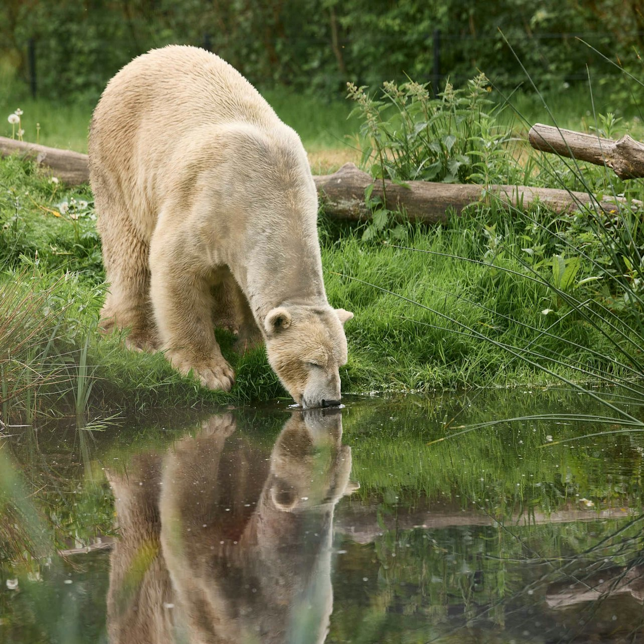 AquaZoo Leeuwarden - Photo 1 of 8