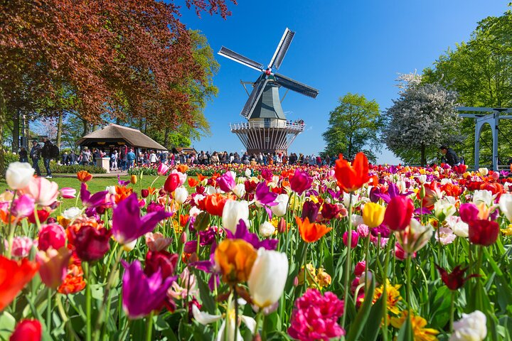 Fast Track Keukenhof Gardens from Amsterdam by Private Car - Photo 1 of 10