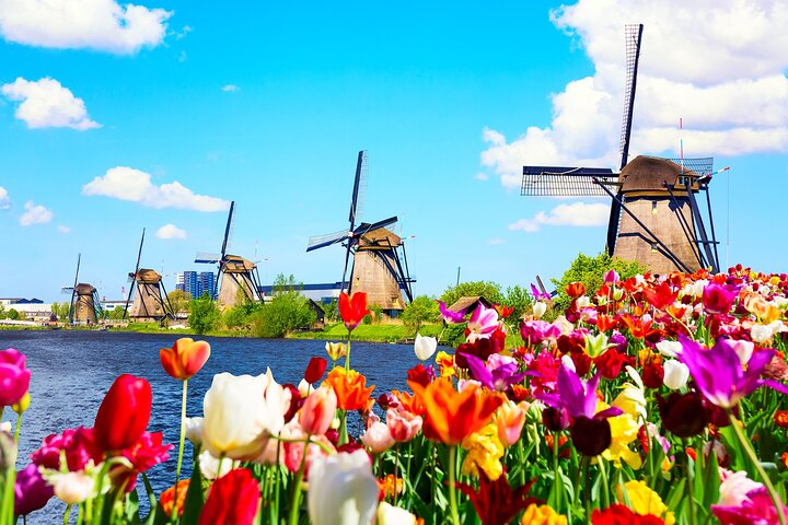 Full Day Private Kinderdijk Photography Tour from Rotterdam port - Photo 1 of 10