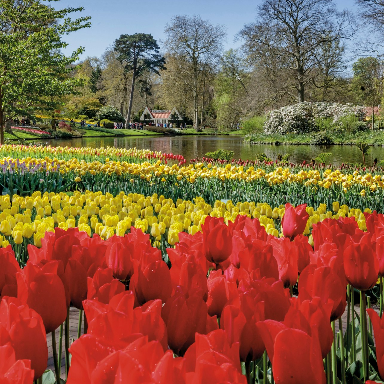 Keukenhof: Entry + Transportation by Bus from Amsterdam - Photo 1 of 3