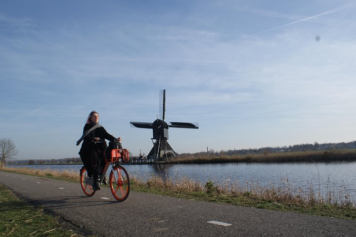 Kinderdijk Area Cycling Tour - Photo 1 of 8