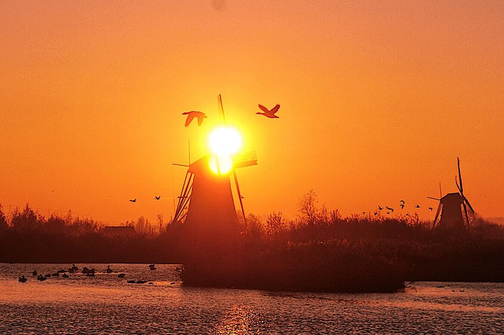 Kinderdijk Photography tour - Photo 1 of 7