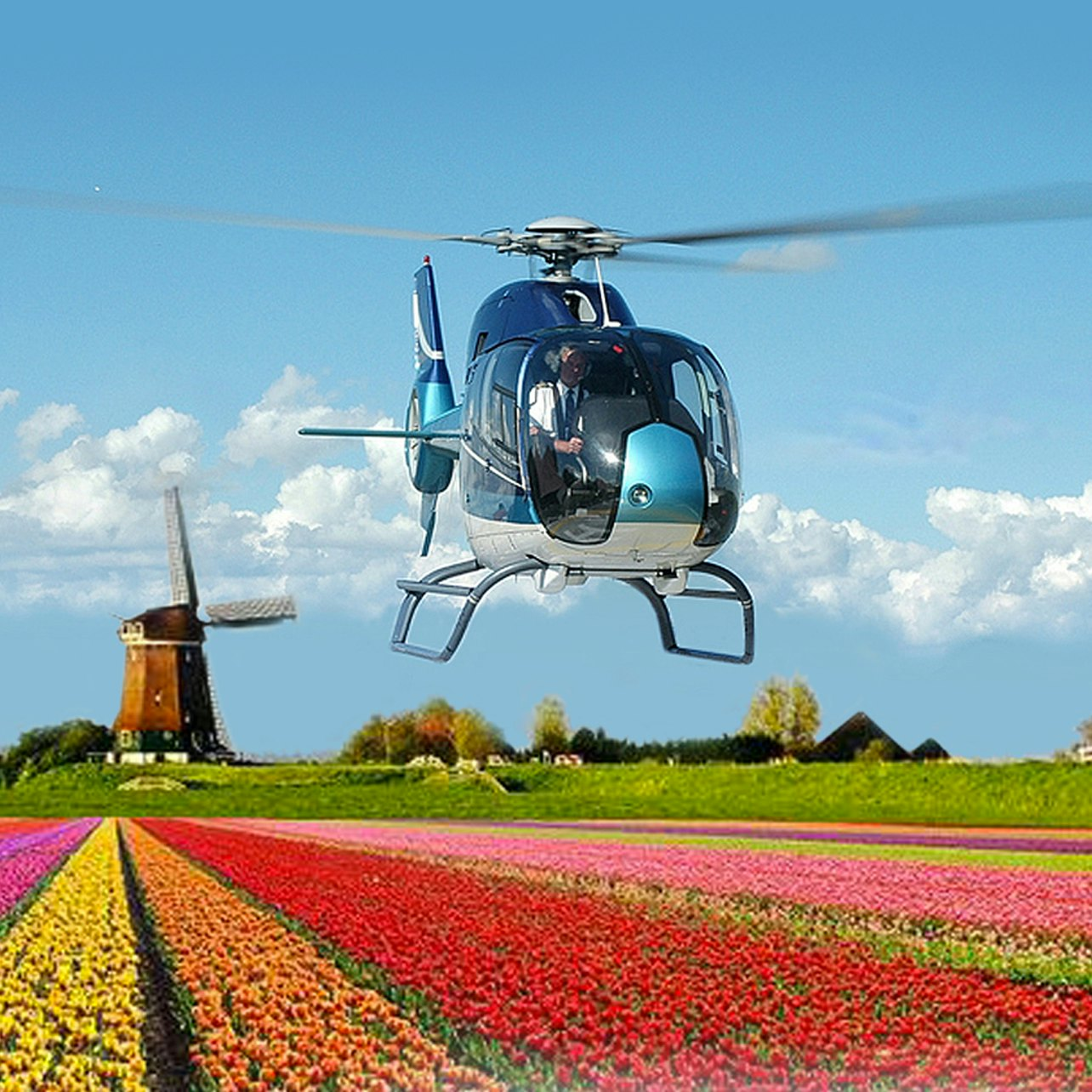 Lisse: Tulip Field Helicopter Flight - Photo 1 of 3