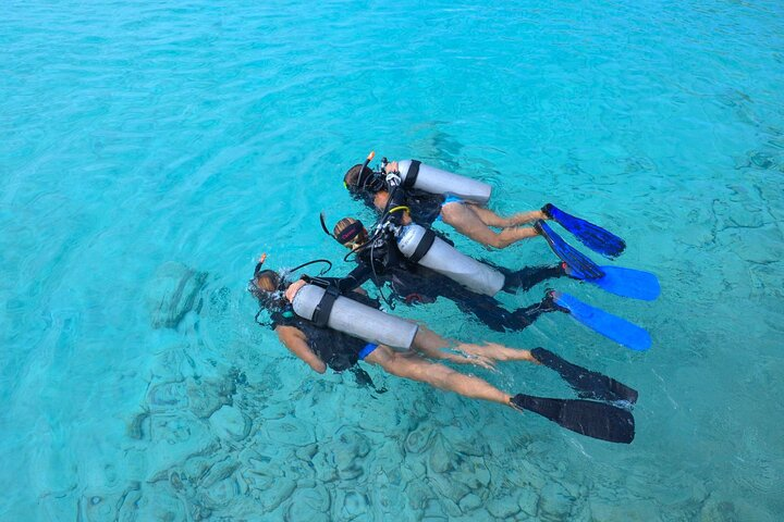 PADI Discover Scuba Dive at Coral Divers Curacao - Photo 1 of 3