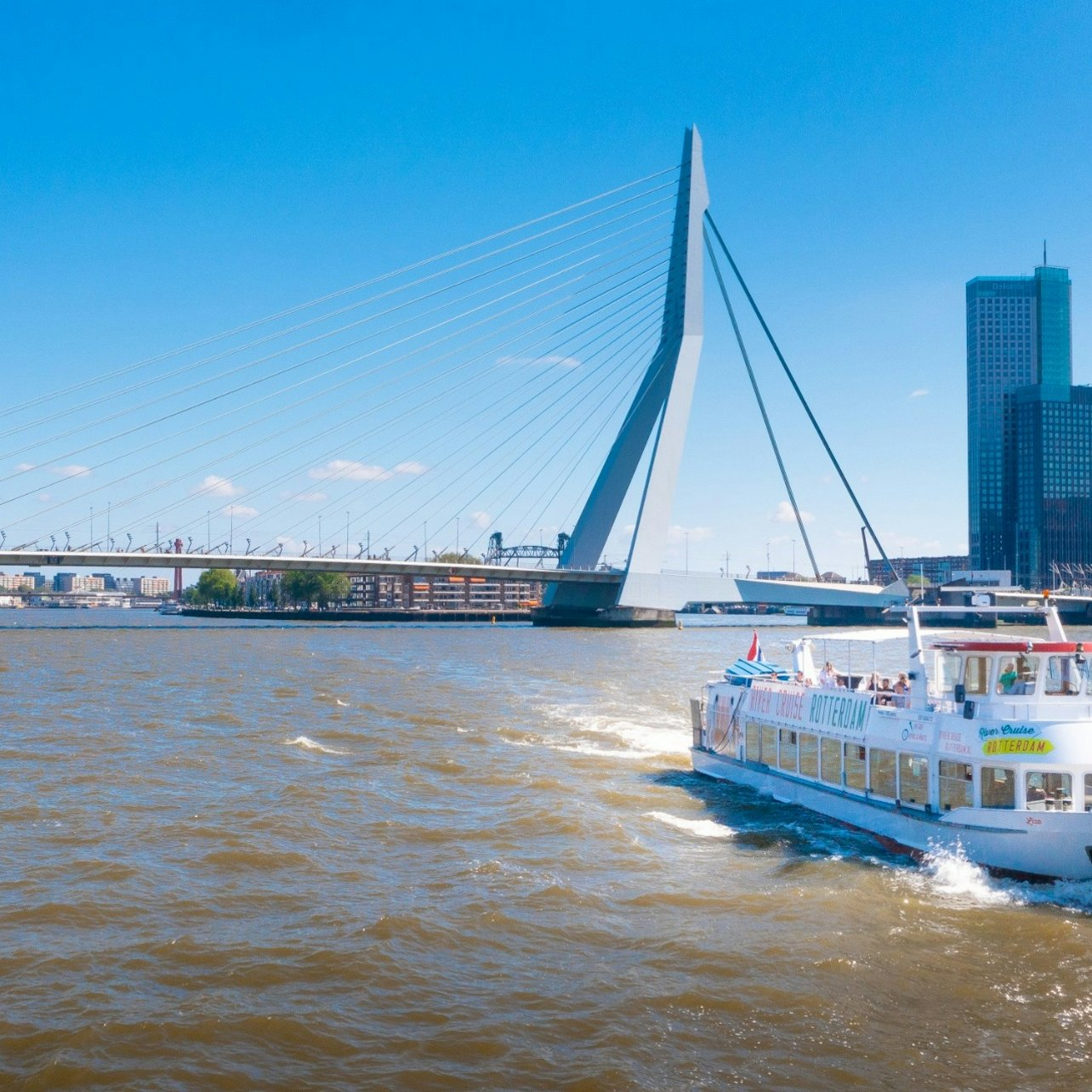 Port tour of Rotterdam - Photo 1 of 6