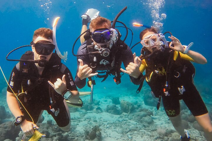 Private Discover Scuba Dive Experience in Curaçao - Photo 1 of 9