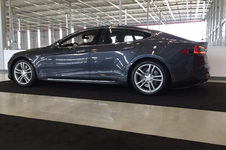 Private Flowerfield Tour in Tesla from Leiden - Photo 1 of 11