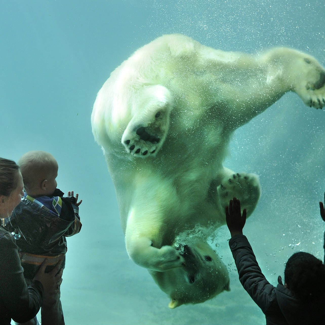 Rotterdam Zoo (Diergaarde Blijdorp): Skip The Line - Photo 1 of 14