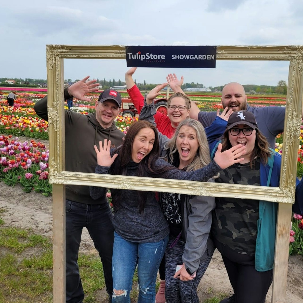 Tulip and Flower Fields Cycling - Small Group Tours - Photo 1 of 17