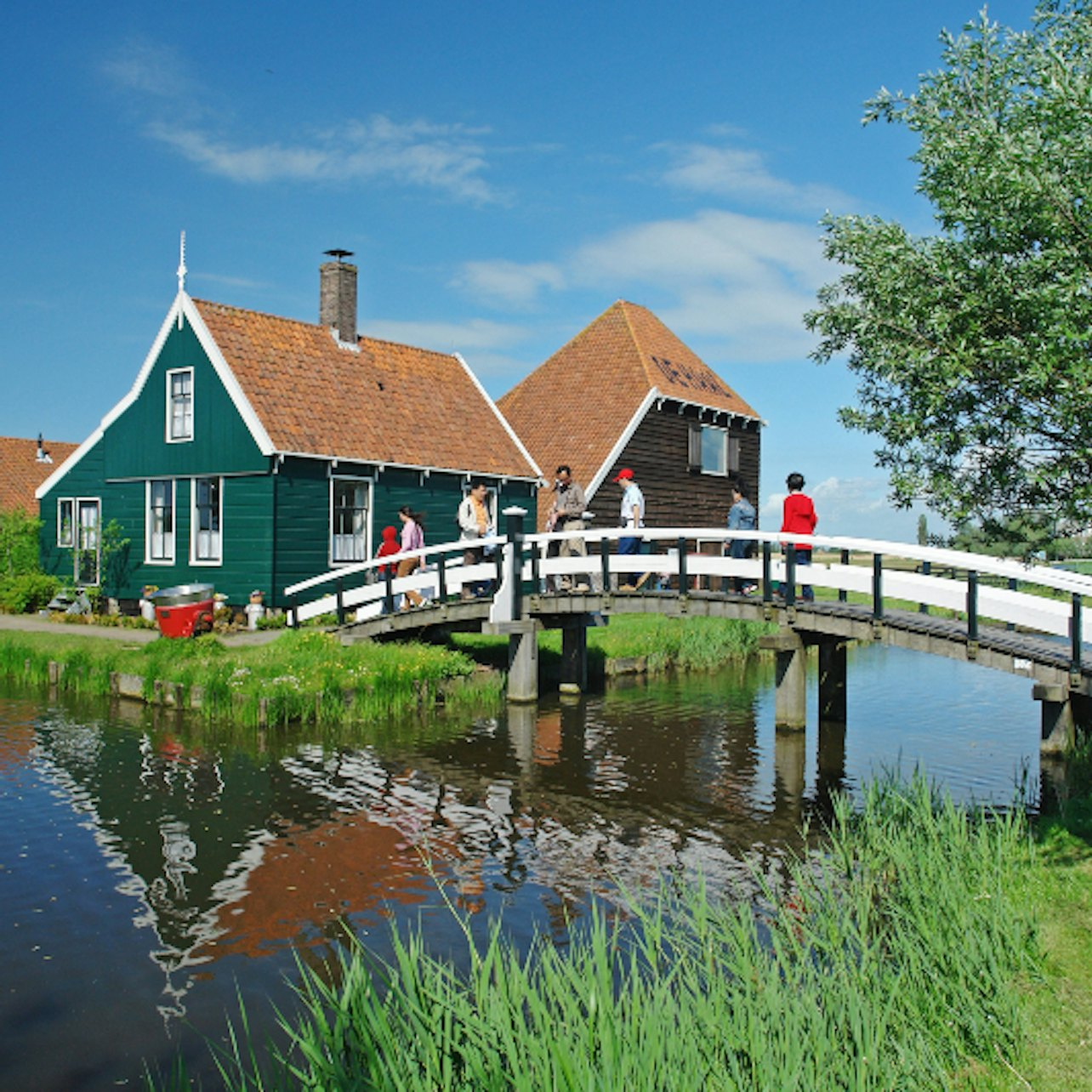 Zaanse Schans Tour from Amsterdam - Photo 1 of 10