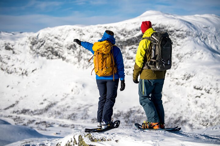 1 Day Snowcoach and Snowshoe Adventure in Jotunheimen - Photo 1 of 13