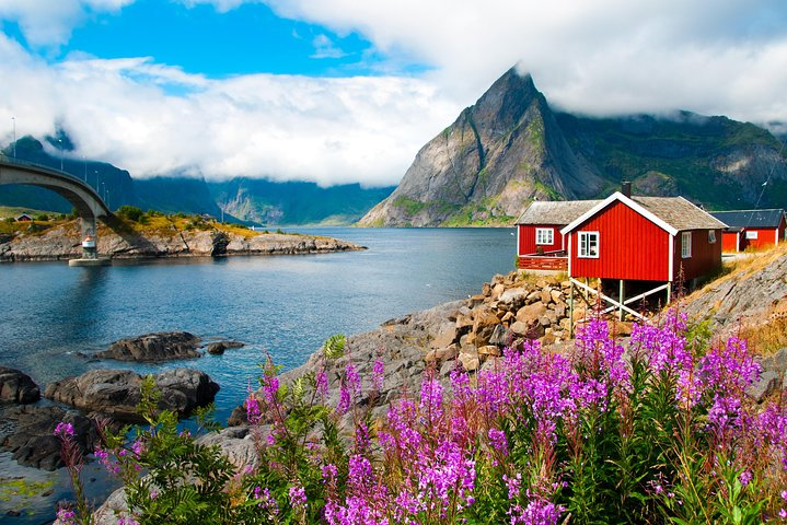 2 - Day Summer Sightseeing & Photography Tour in Lofoten - Photo 1 of 9