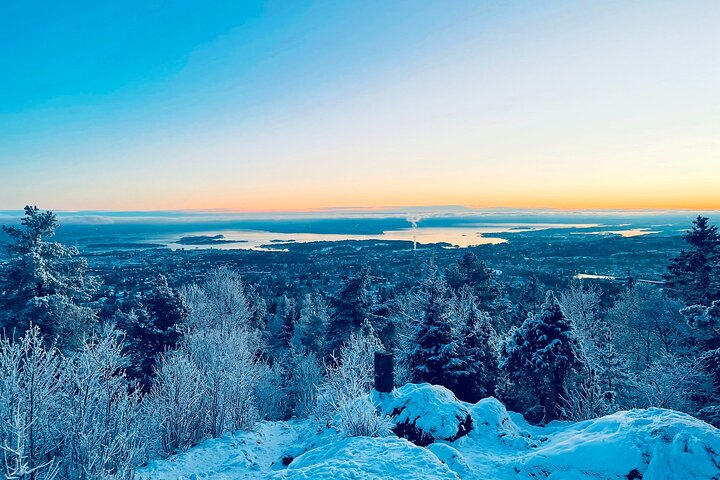 4 hours Winter View of the Oslofjord Walk Tour  - Photo 1 of 13