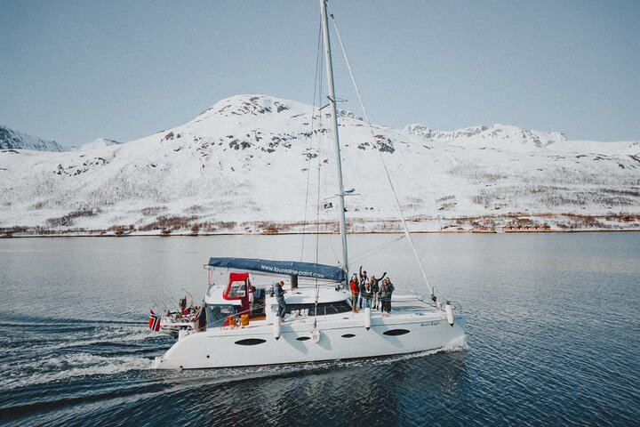 Arctic Fjordcruise & Safari in Tromso with Luxury Catamaran  - Photo 1 of 11