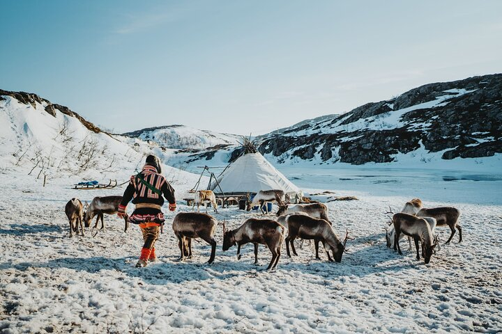 Arctic Fjords and Reindeer Experience – Small group tour - - Photo 1 of 19