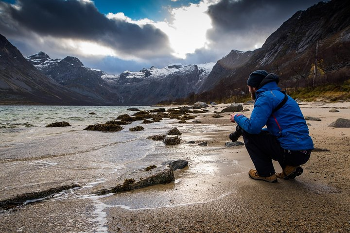 Arctic Nature Tour from Tromsø by minibus - Photo 1 of 25