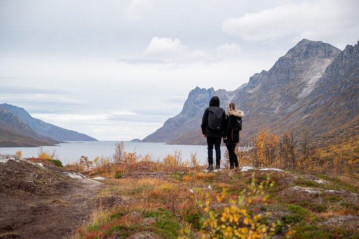 "Arctic Roadtrip: Sommarøy with scenic picnic"