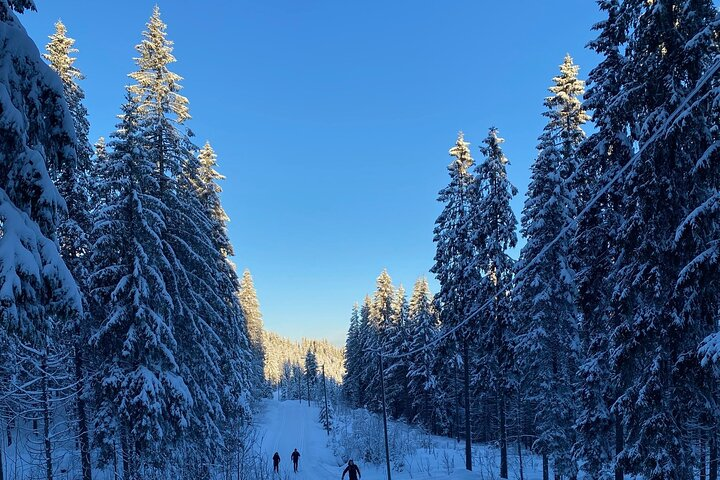 Cross-Country Skiing with Fireside “Kos”  - Photo 1 of 25