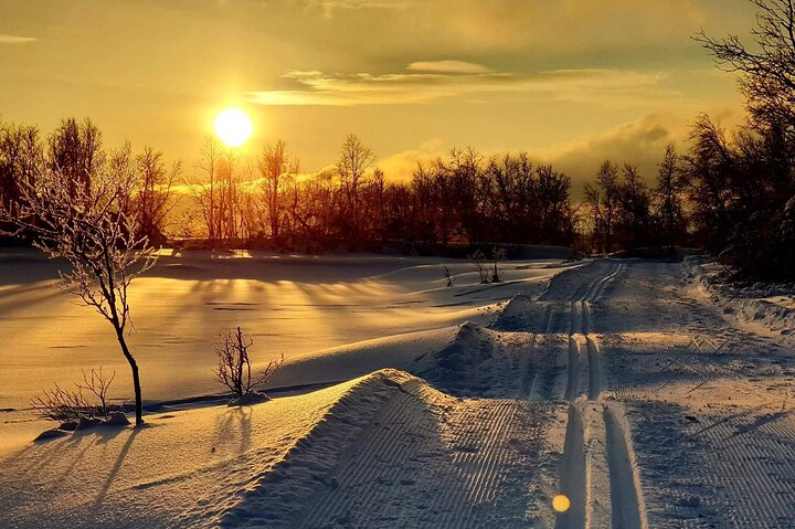 Immerse yourself in Norway’s winter wonderland navigating serene trails as the sun paints the landscape with golden hues offering a perfect backdrop for cross-country skiing adventures.