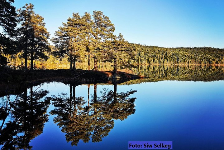 Explore the beautiful nature of Trondheim - Photo 1 of 5