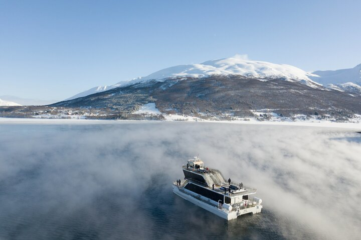 Half Day Arctic Fjord Cruise from Tromso - Photo 1 of 7