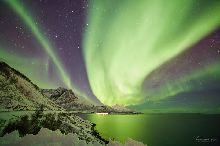 Fjord Aurora