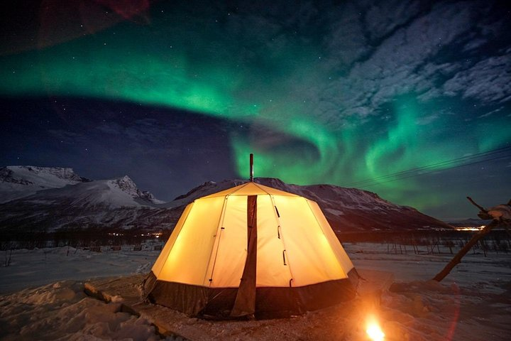 Northern lights above our Lavvos