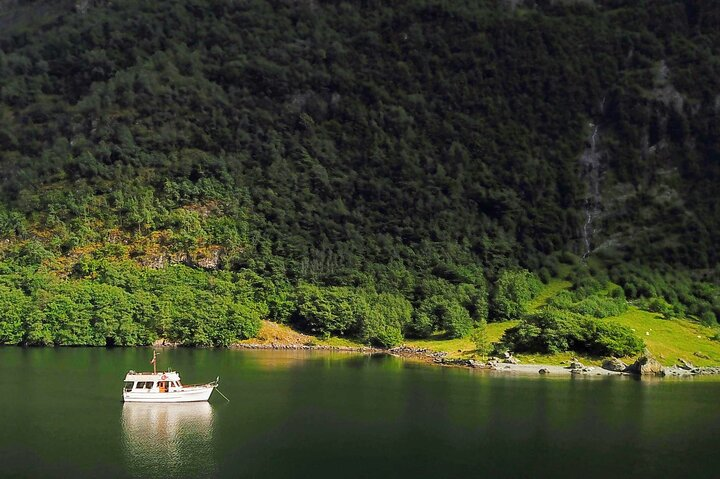 Private Fjordcruise Bergen - Mostraumen by classic Yacht - Photo 1 of 25