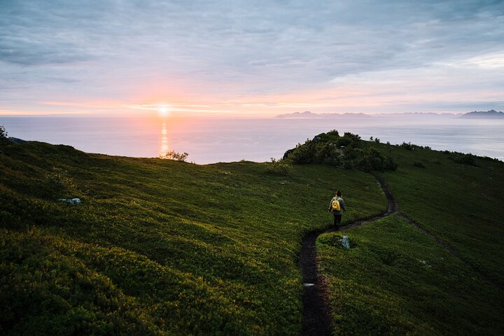 Private Midnight Tour To Gimsøya - Photo 1 of 9