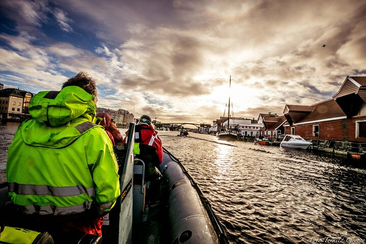 Rib safari Tour in Haugesund - Photo 1 of 5