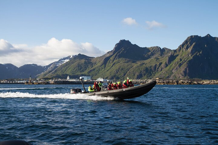 RIB Sea Eagle Safari Trollfjord Cruise - Photo 1 of 9