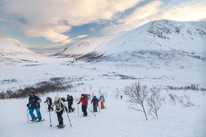 Snowshoe Hill Hike on Kvaløya Tromso Outdoor